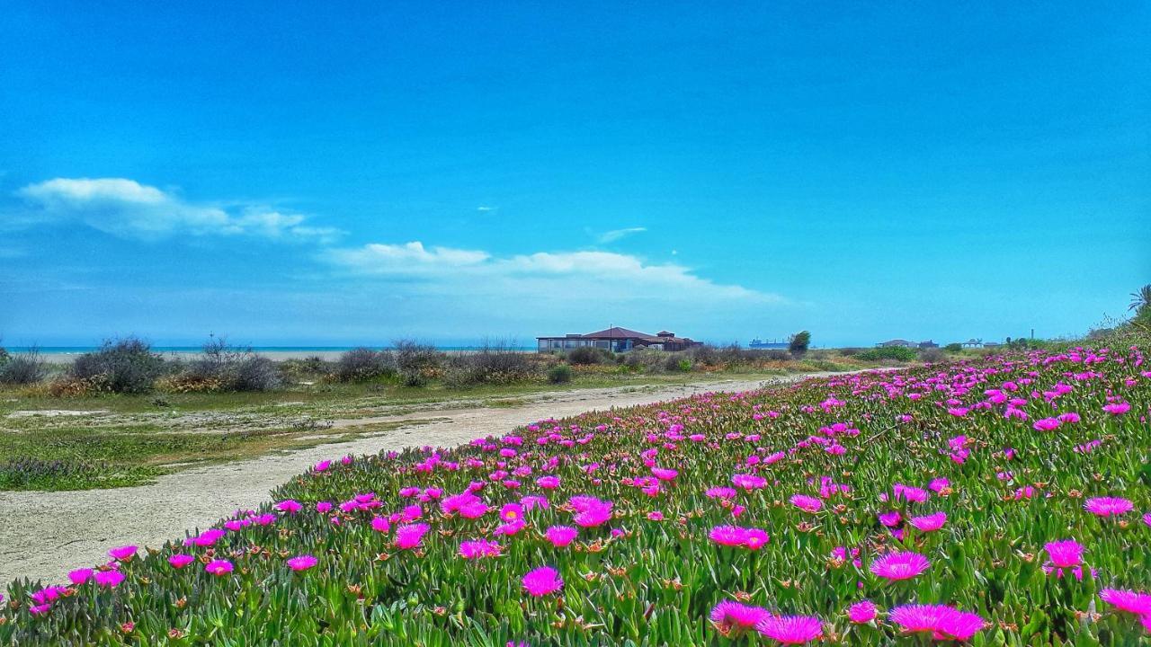 Atico Pinar De Garrucha Con Vistas Al Mar-Gran Terraza Exterior foto